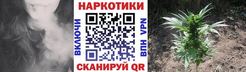 Купить закладку Кириши Метадон  Псилоцибиновые грибы  МАРИХУАНА  кракен ССЫЛКА  Кокаин  Амфетамин 