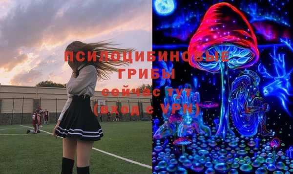 СК Богородицк