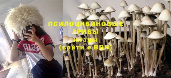 мяу мяу мука Бородино