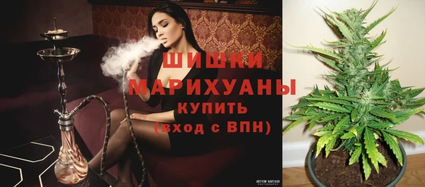 героин Богданович