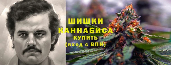 мяу мяу мука Бородино