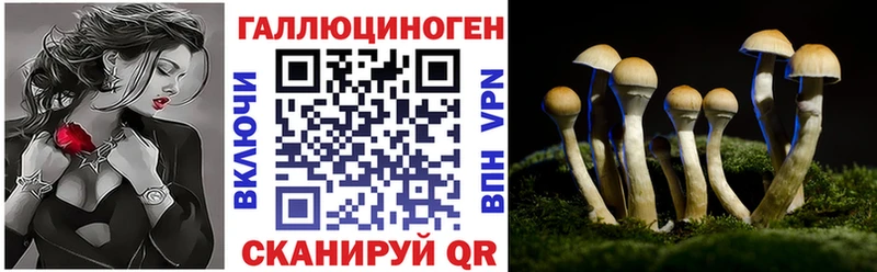 мега маркетплейс Кириши Галлюциногенные грибы прущие грибы